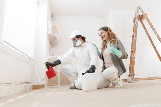 Professional Mold Inspection, Removal & Remediation in Lynn, MA